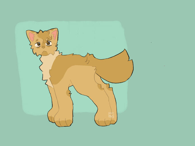 fullbody (2024)
