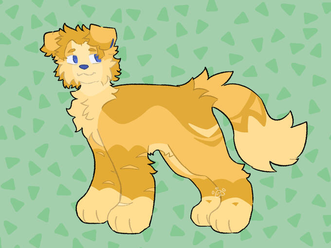 fullbody (July 2025)