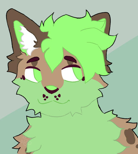 bust/icons (July 2025)